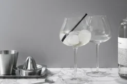 Gin-Glas 2er-Set
