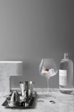 Gin-Glas 2er-Set