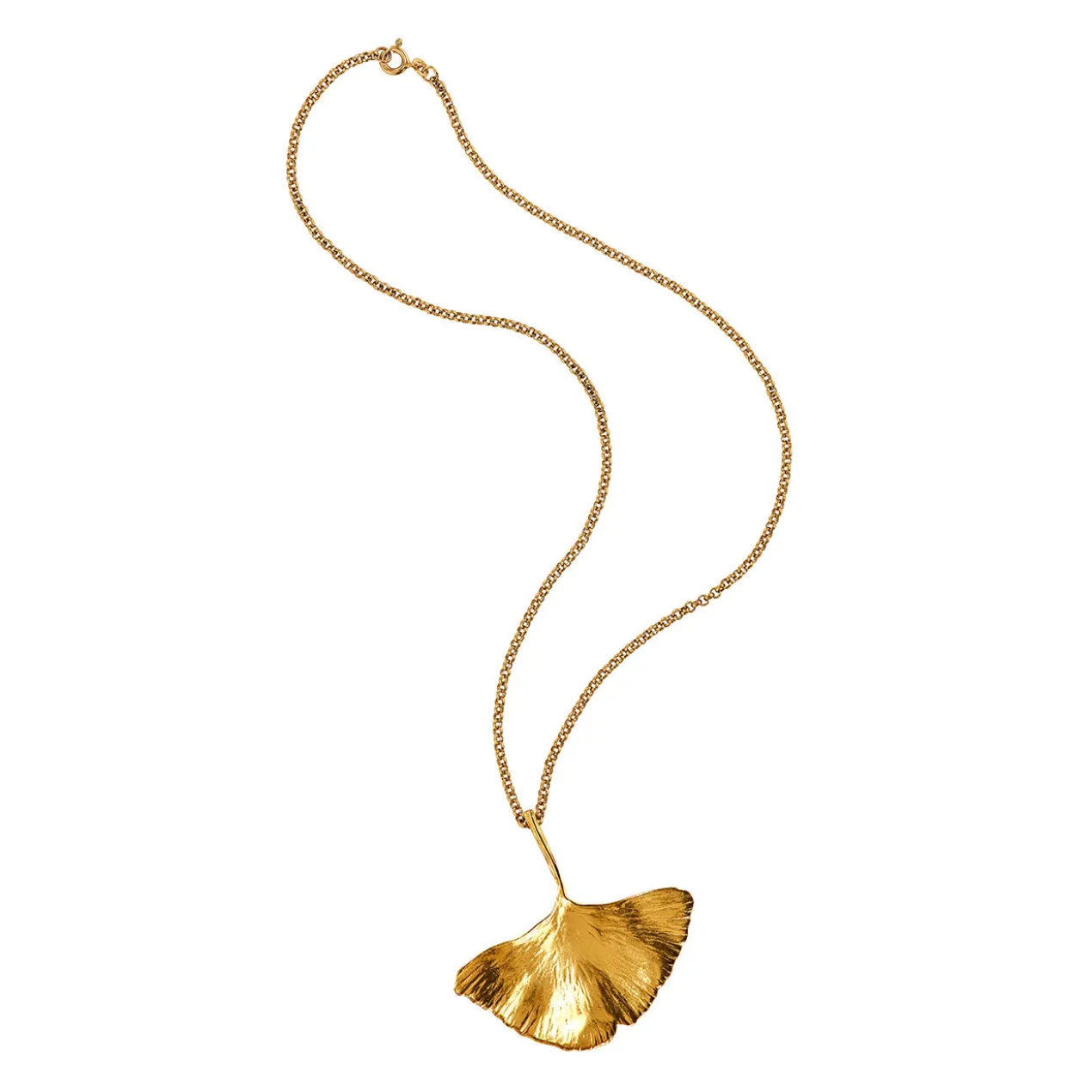 Ginkgo-Kette