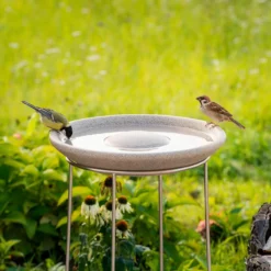 Granicium®-Vogeltränke mit Edelstahl-Ständer