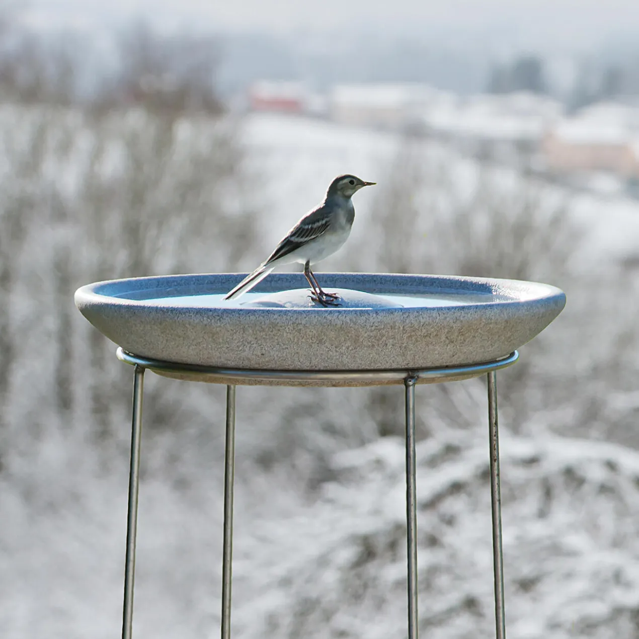 Granicium®-Vogeltränke mit Edelstahl-Ständer