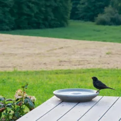Granicium®-Vogeltränke mit Edelstahl-Ständer