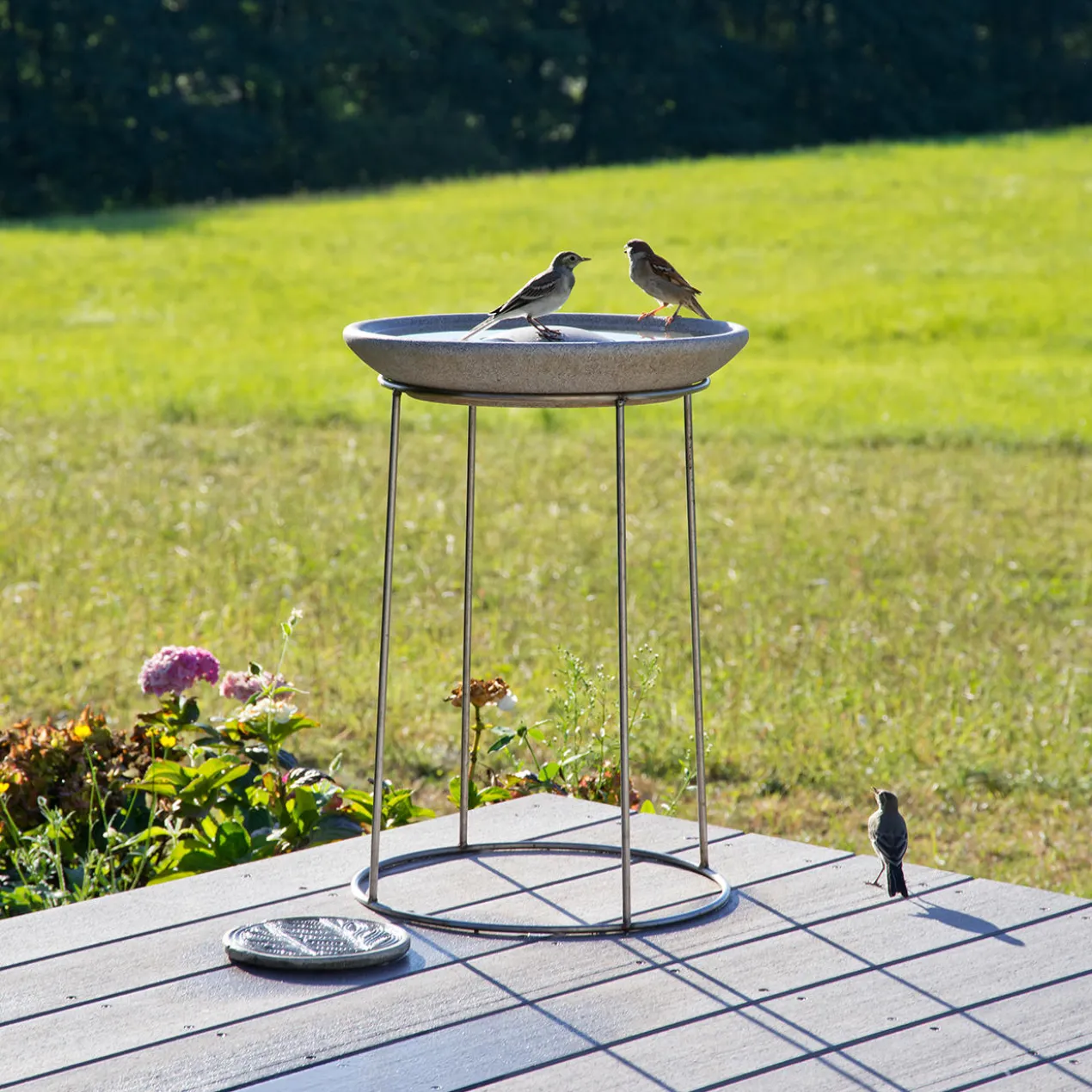 Granicium®-Vogeltränke mit Edelstahl-Ständer