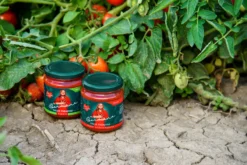 Hermina Salsa Paradiso, 3 x 290 g