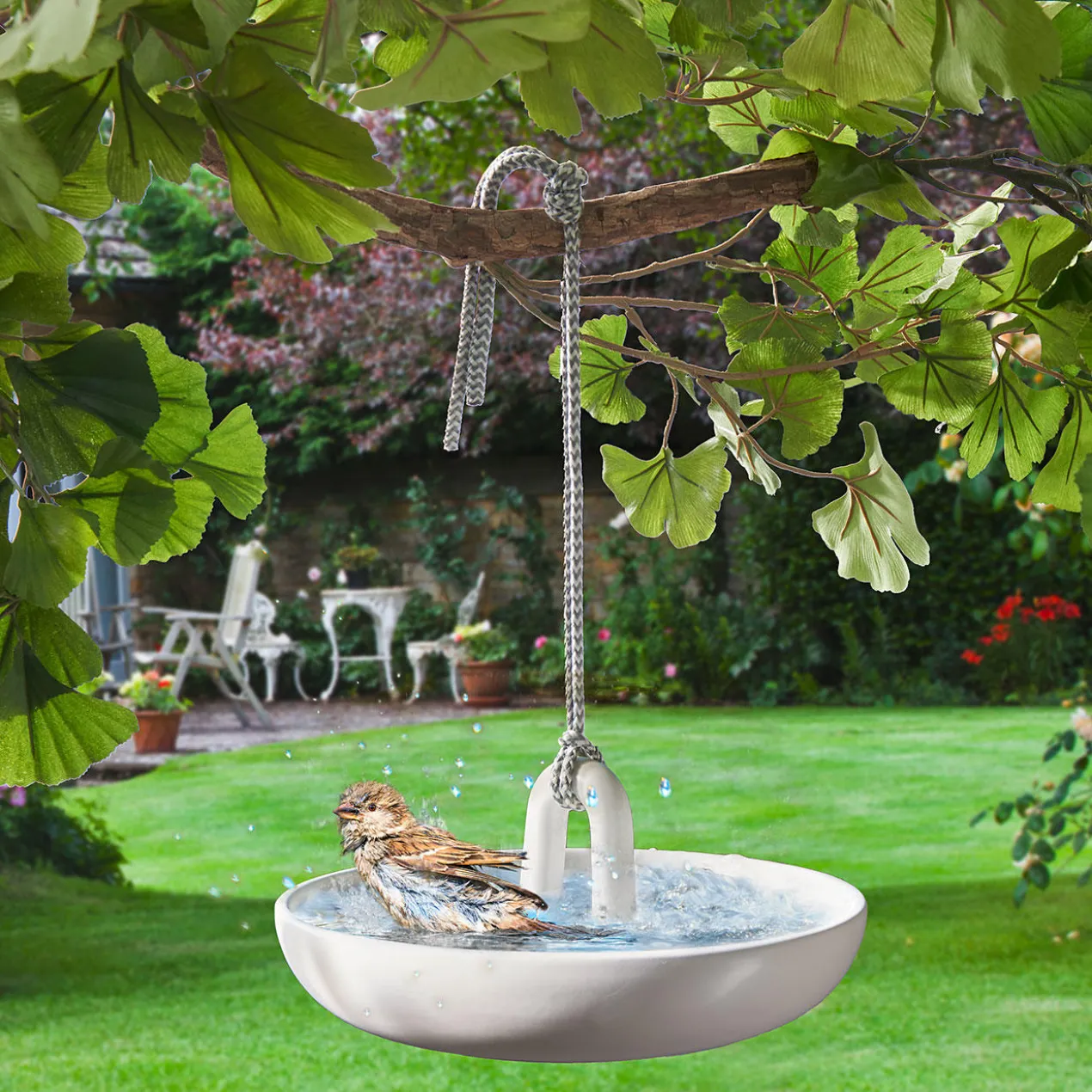 Hängendes Vogelbad