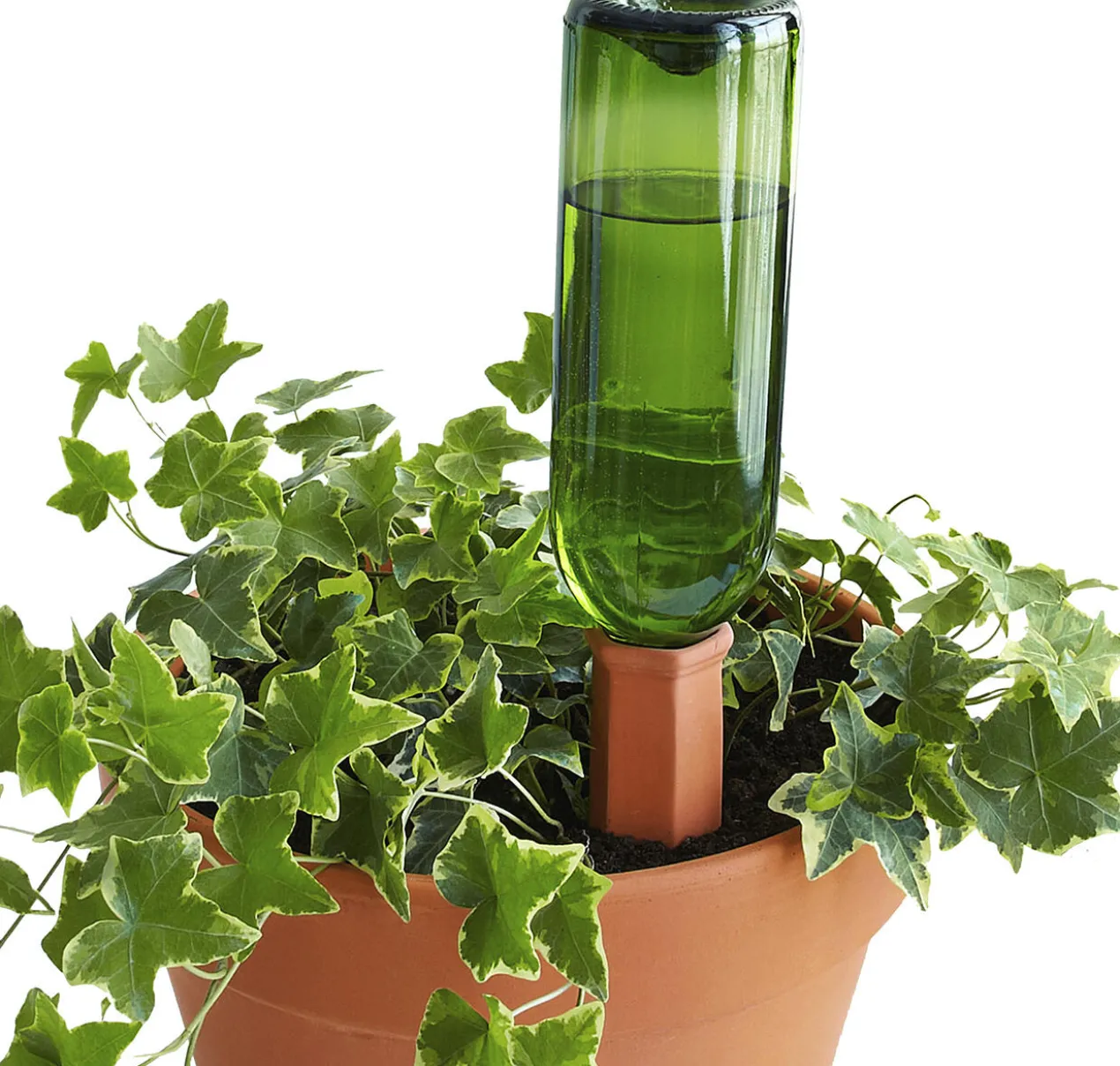 Hydro Wine Tonkegel oder Adapter, 4er-Set