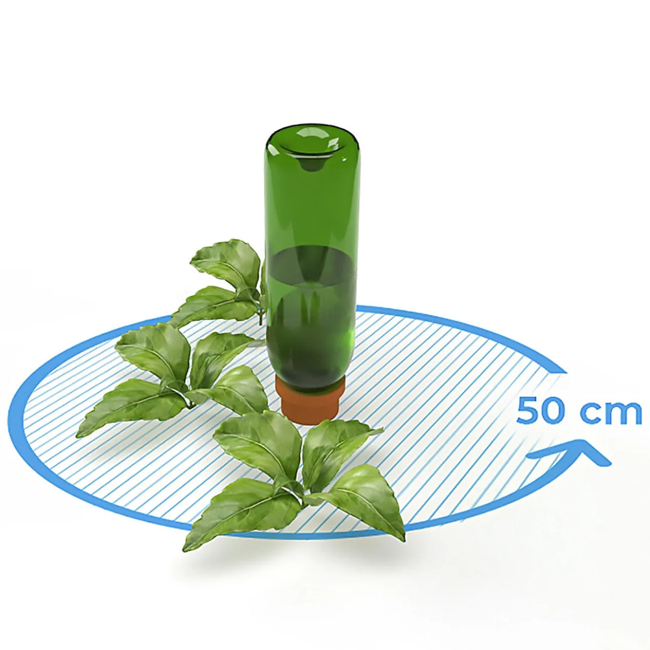 Hydro Wine Tonkegel oder Adapter, 4er-Set