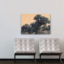 Ingo Wegerl – Der Olivenbaum