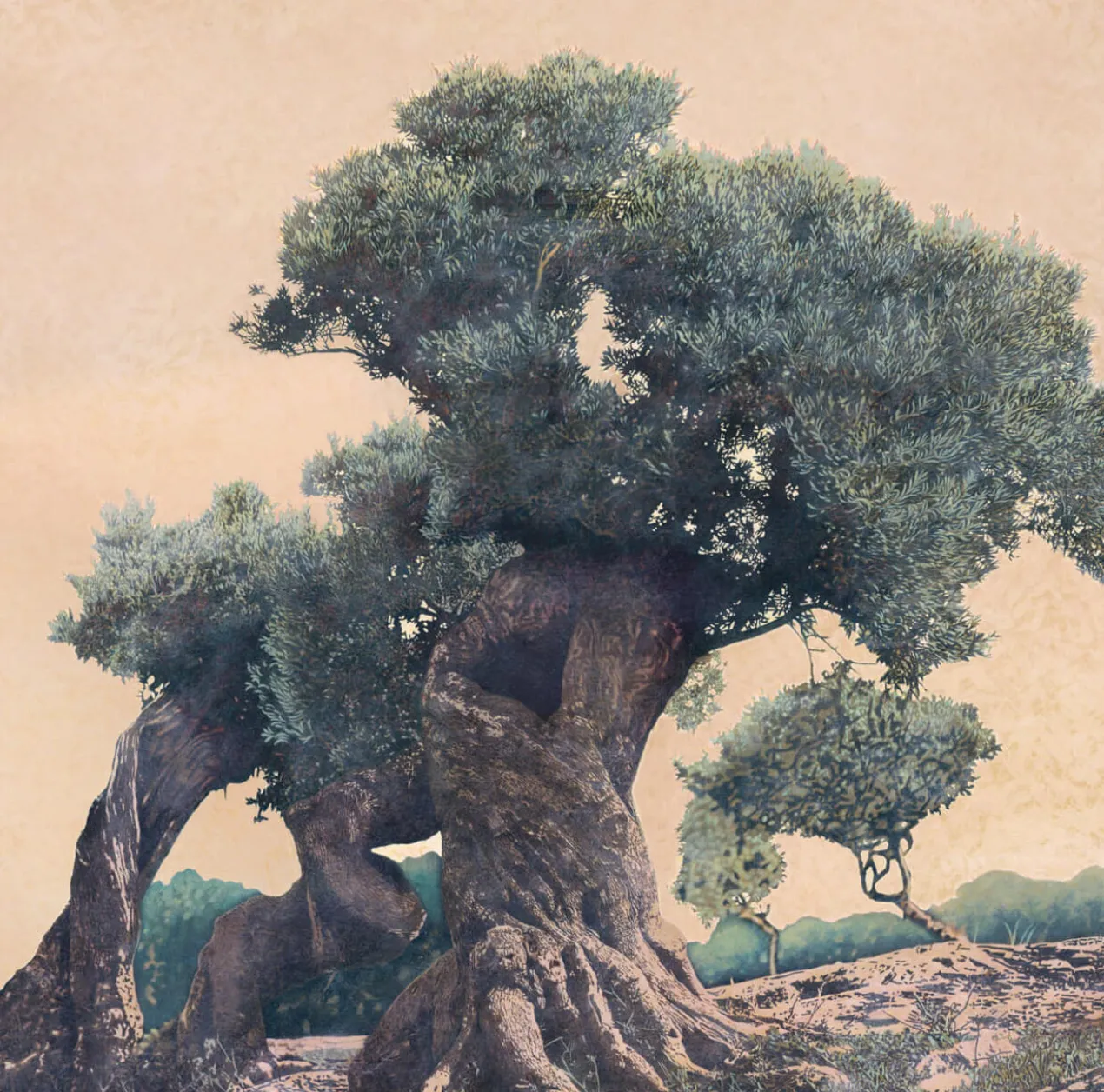Ingo Wegerl – Olivenbaum