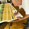 Ingo Wegerl – Olivenhain