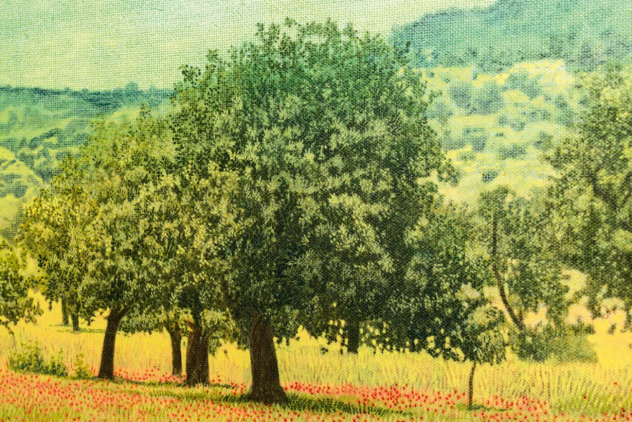 Ingo Wegerl – Olivenhain