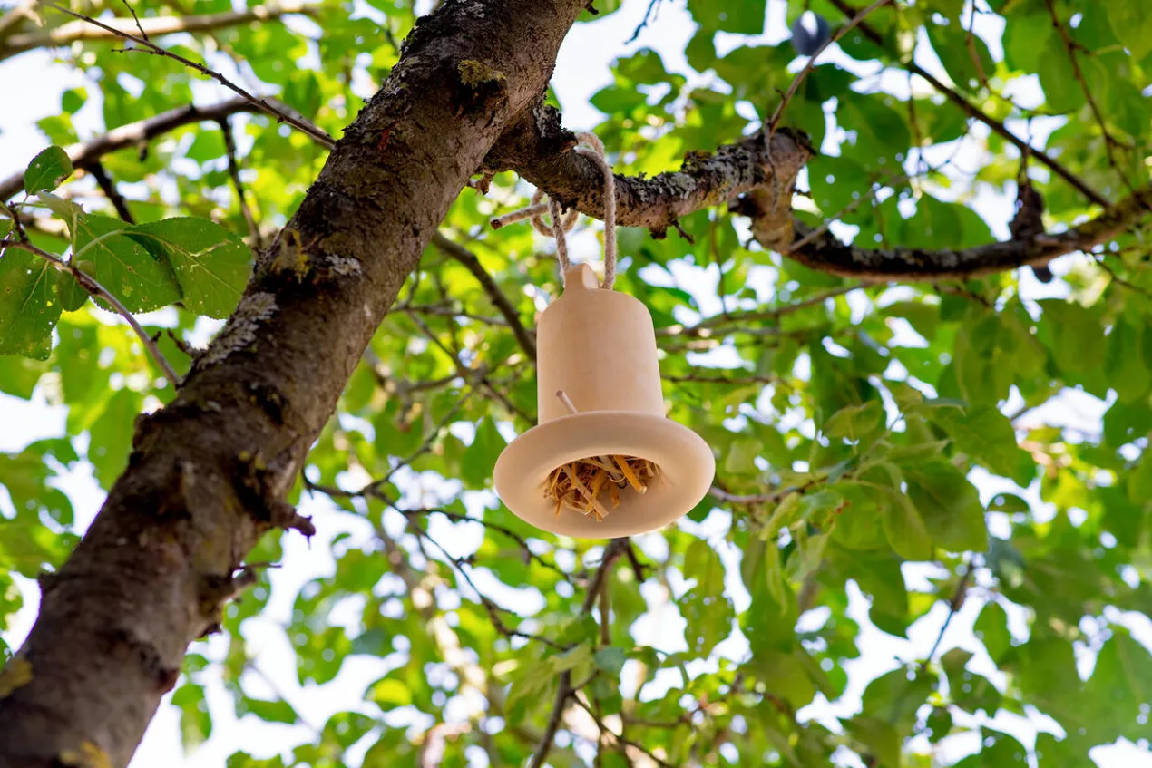 3-in-1 Insektenhaus
