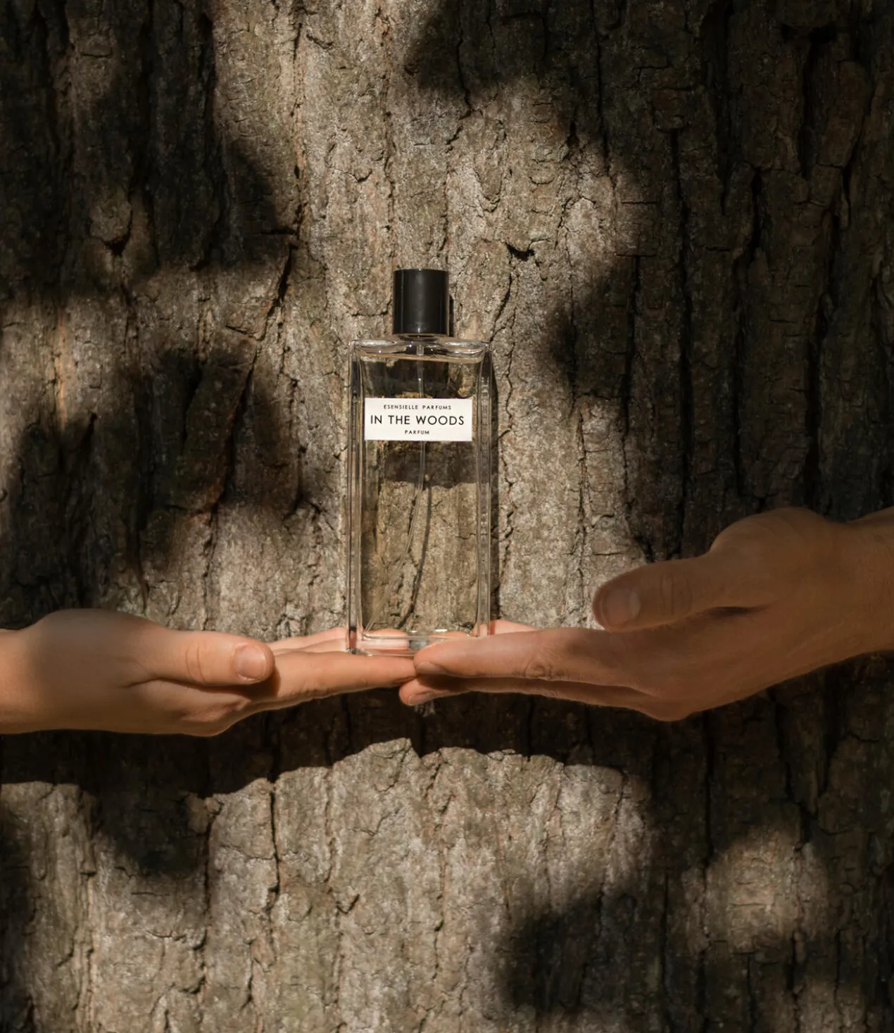 In the Woods Eau de Parfum Spray, 100 ml