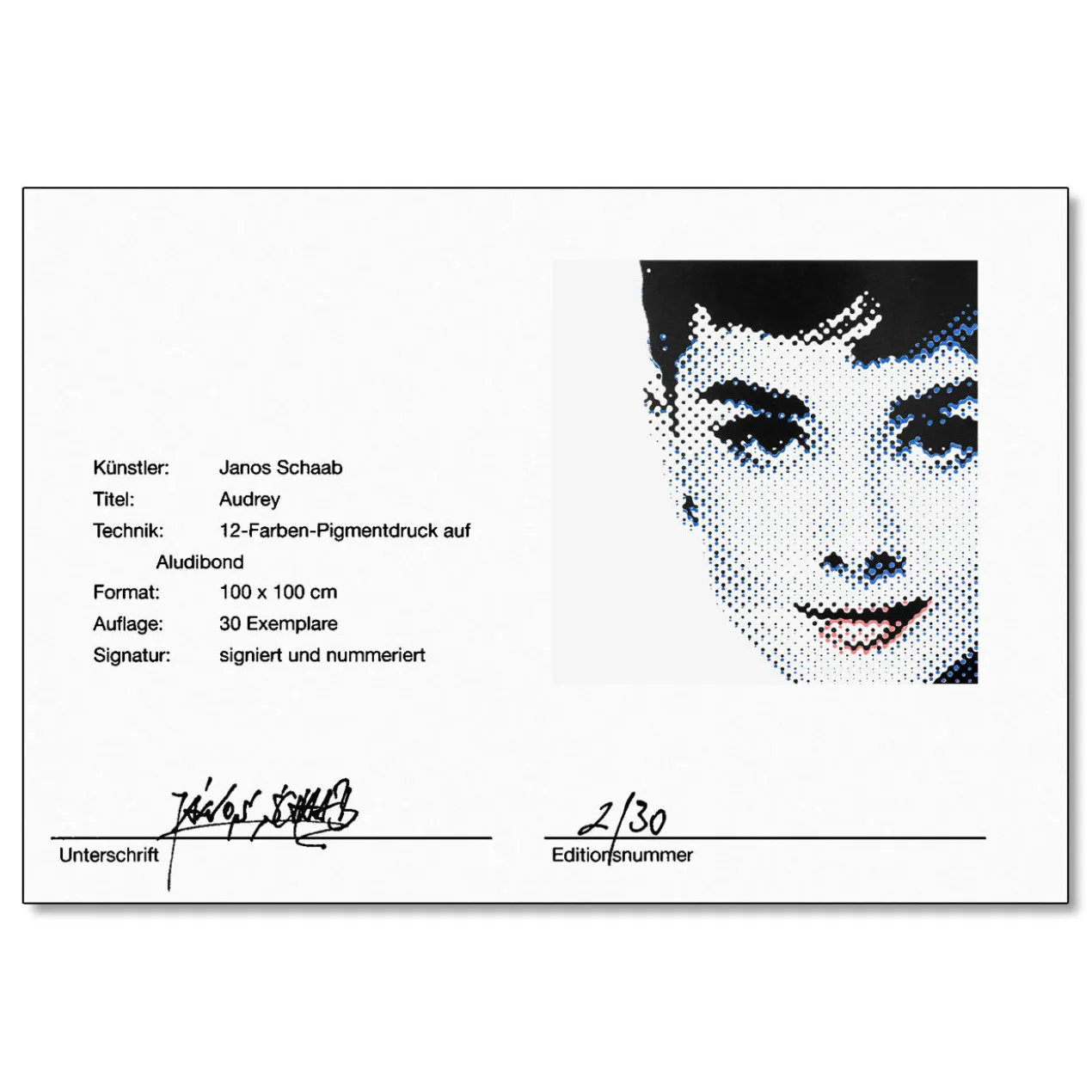 Janos Schaab – Audrey