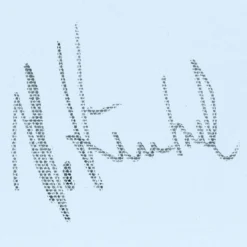 Jean-Pierre Kunkel – Große Tulpe III