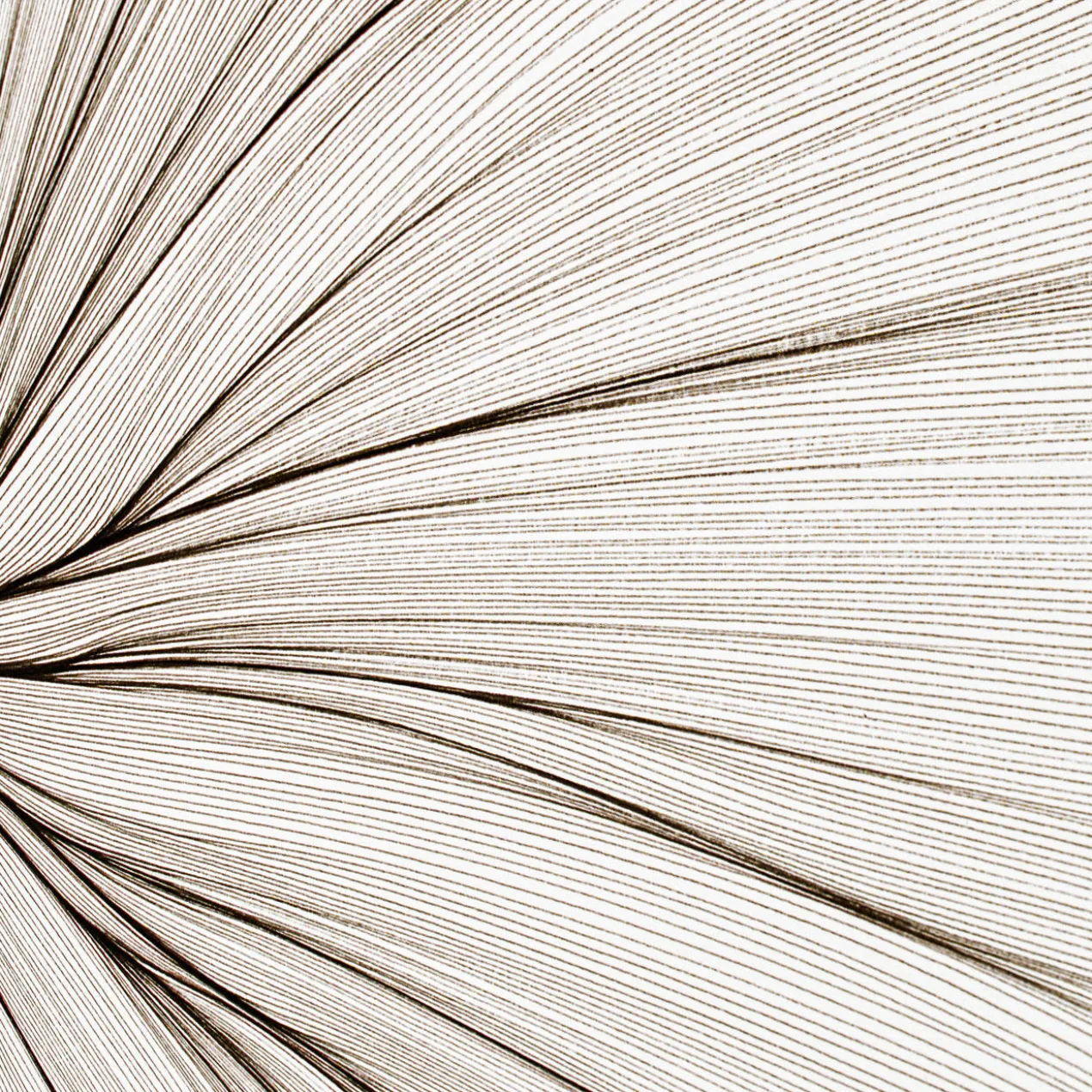 John Franzen – Each Line One Breath