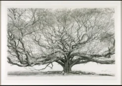 Koshi Takagi – Baum des Lebens