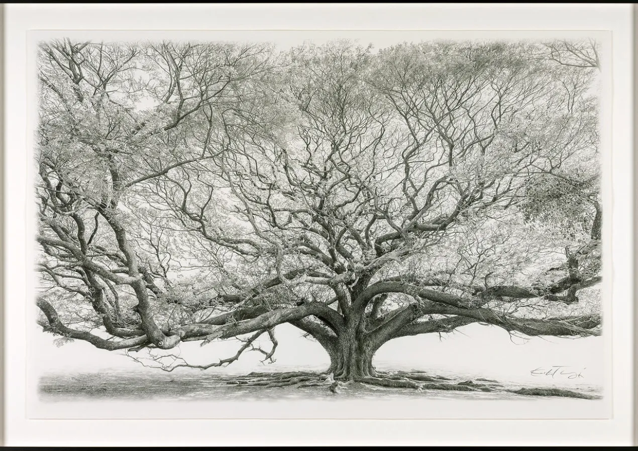 Koshi Takagi – Baum des Lebens