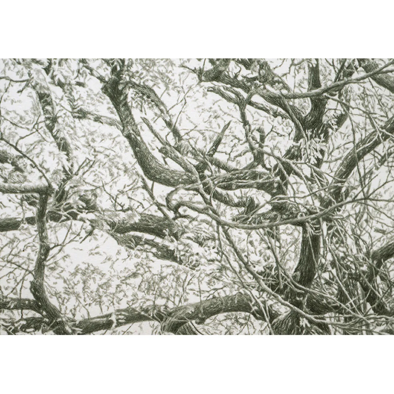 Koshi Takagi – Baum des Lebens