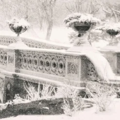 Koshi Takagi – Central Park