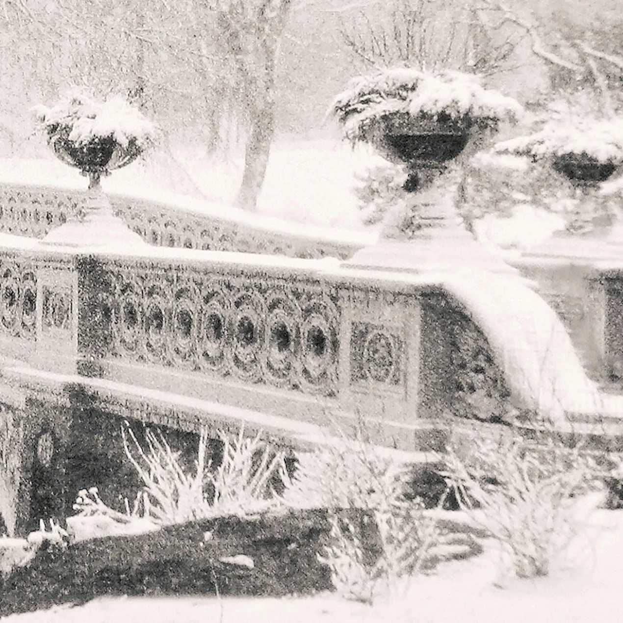 Koshi Takagi – Central Park