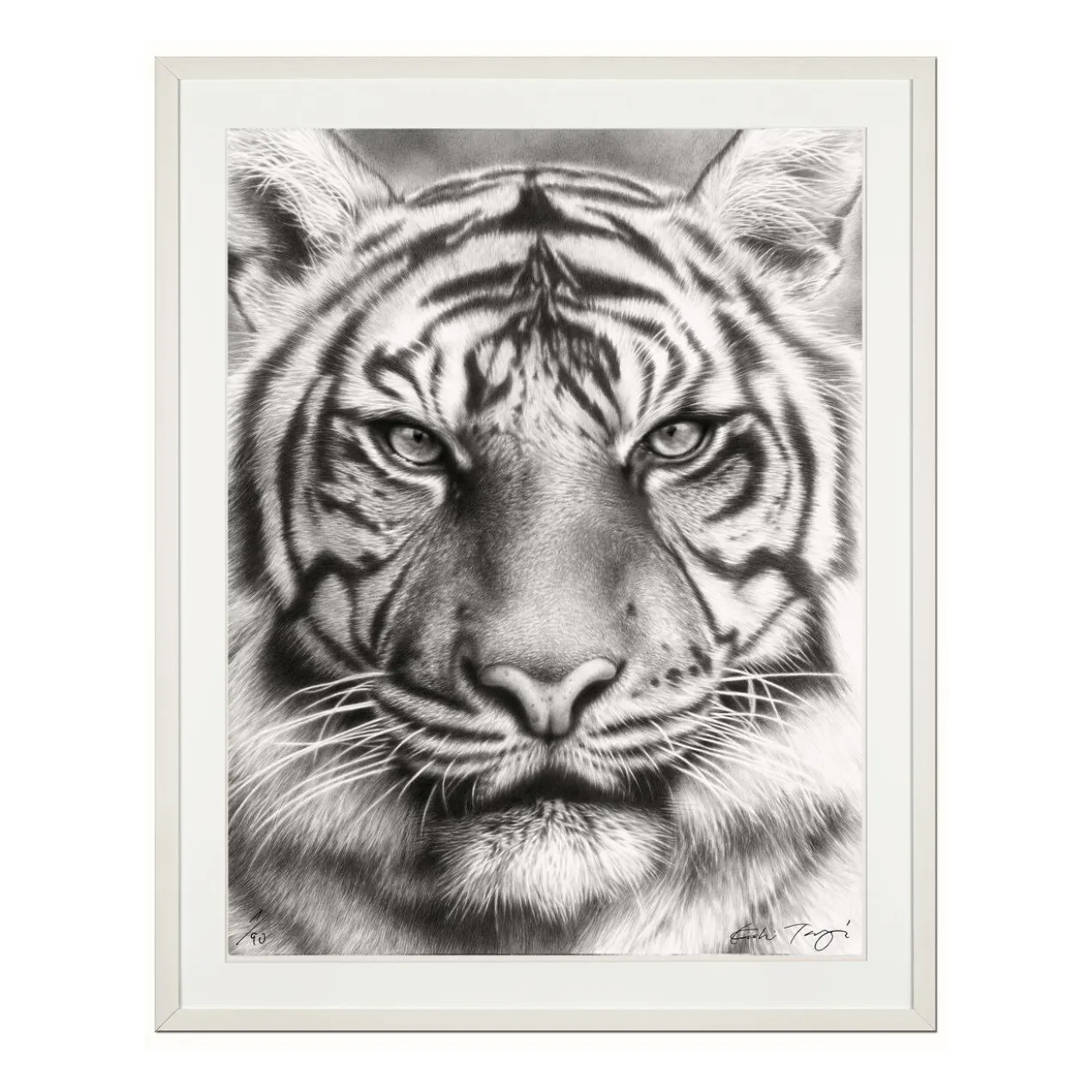 Koshi Takagi – Eyes of the tiger