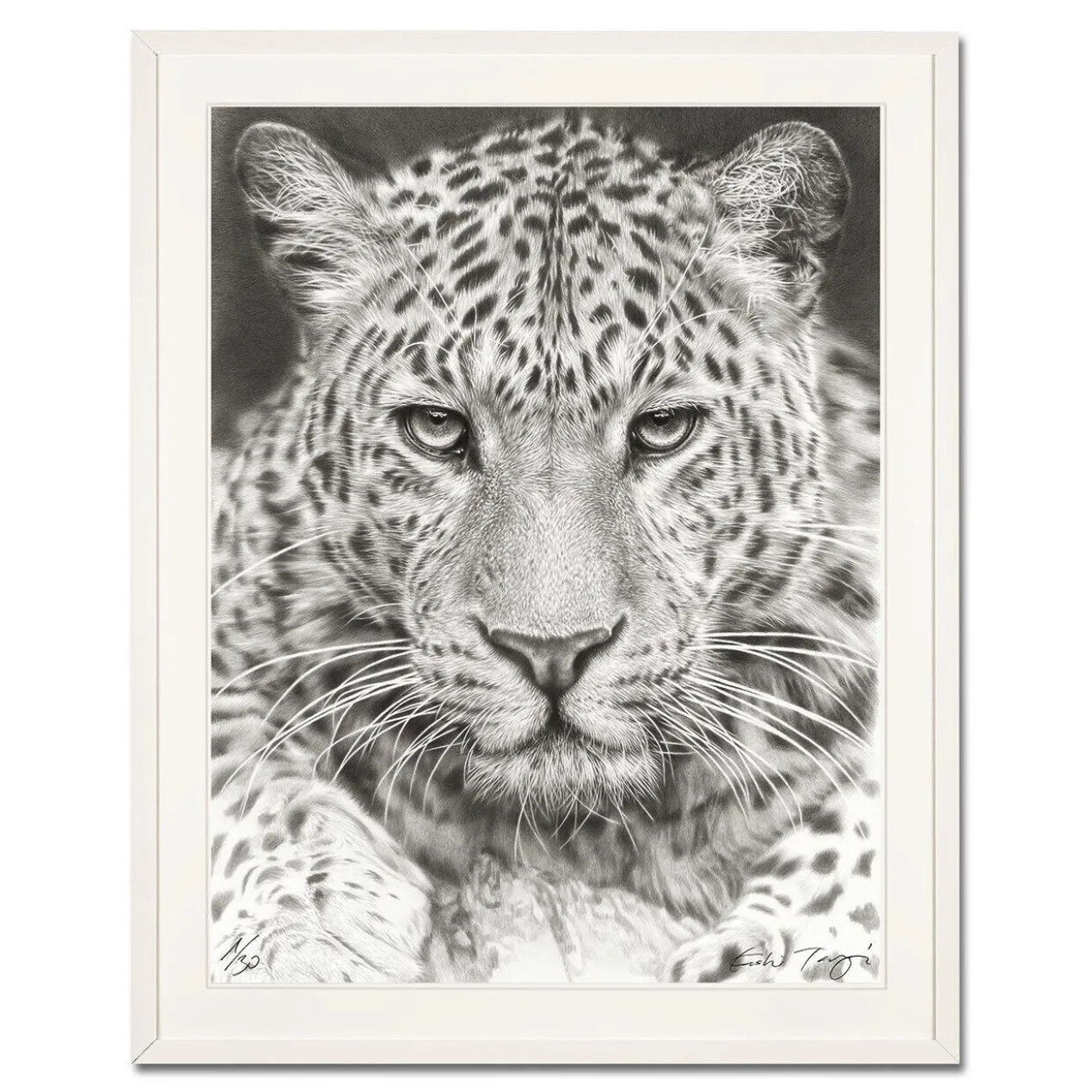 Koshi Takagi – Leo