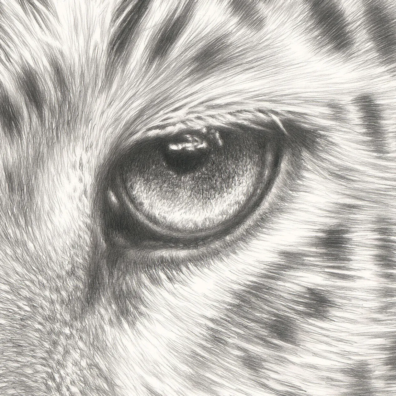 Koshi Takagi – Leo