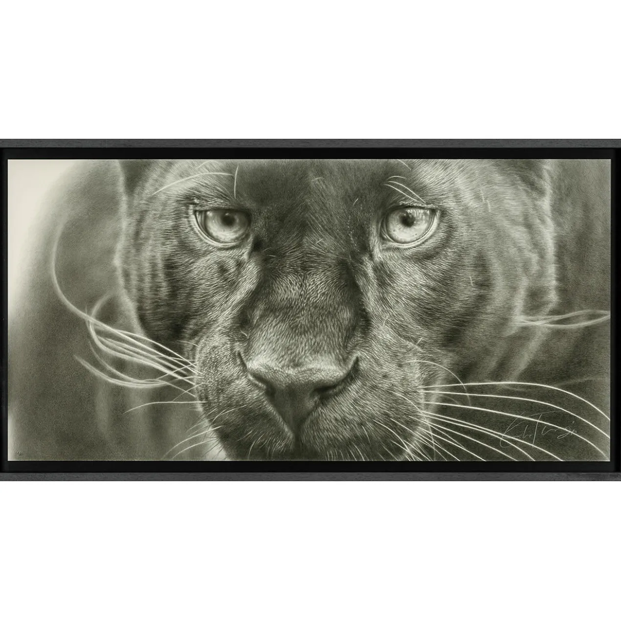 Koshi Takagi – Panther
