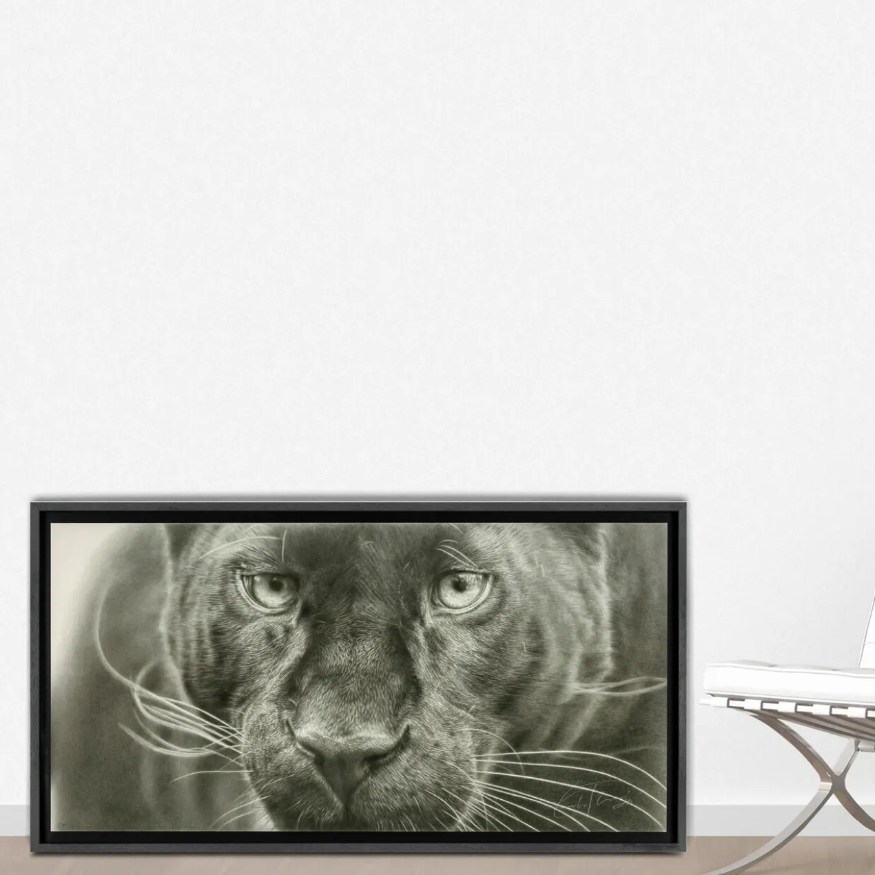 Koshi Takagi – Panther