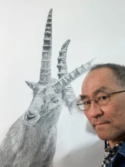 Koshi Takagi – Steinböcke