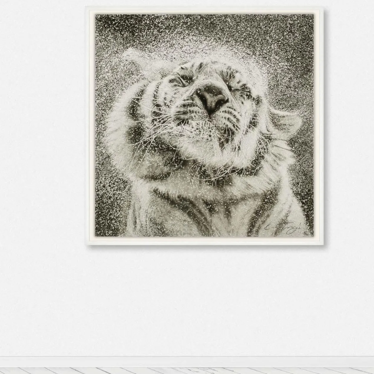 Koshi Takagi – Tiger