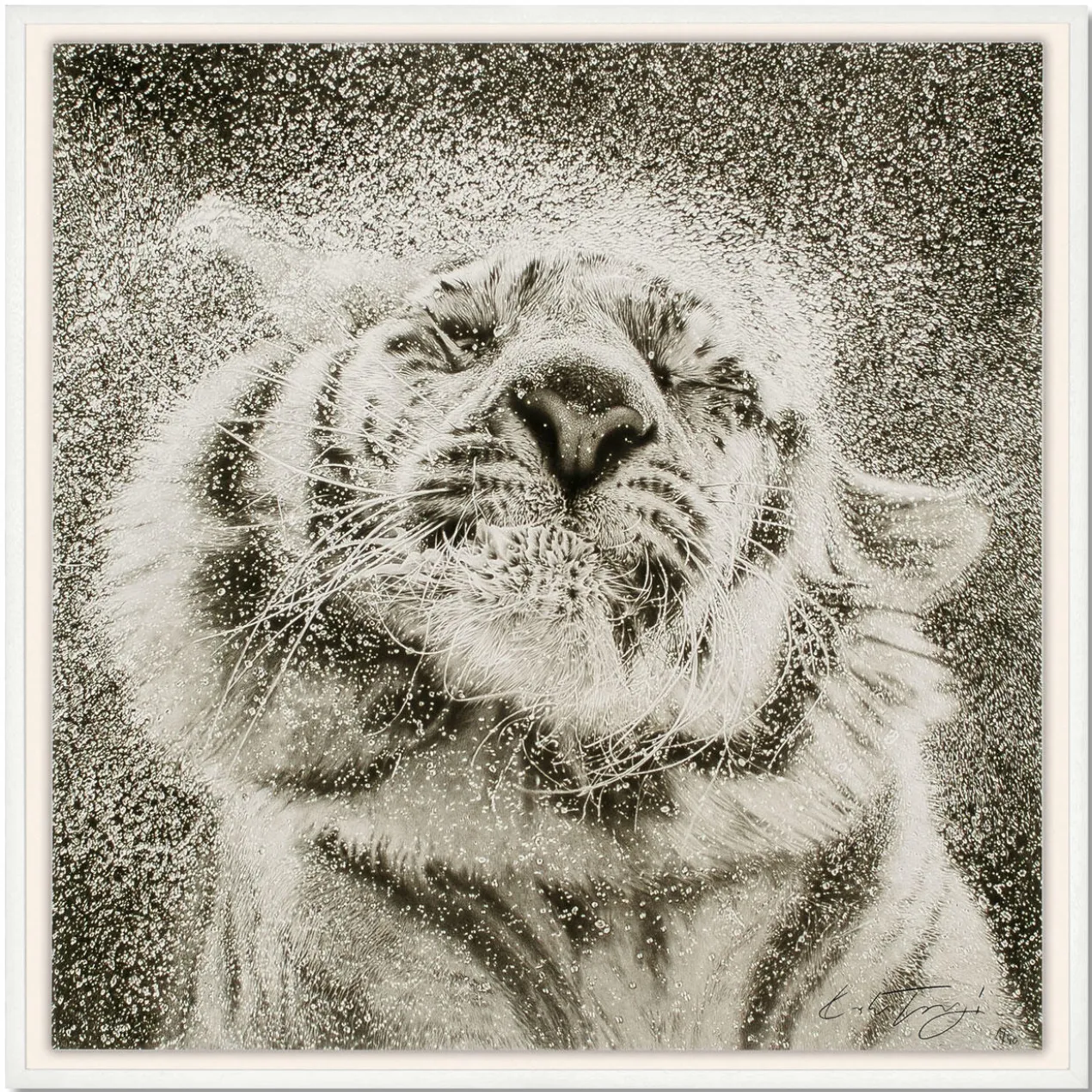 Koshi Takagi – Tiger