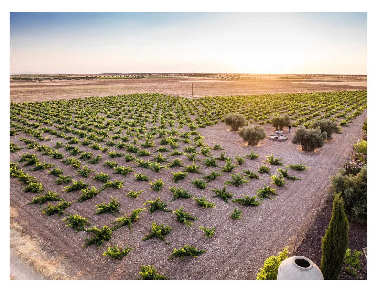 La Garnacha de la Madre 2021, Más Que Vinos, Vino de la Tierra de Castilla, Spanien