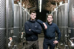 Laubenheimer Karthäuser Riesling trocken 2024, Tesch, Nahe, Deutschland