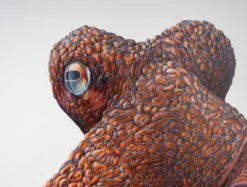 Lea Fricke – Big Octopus