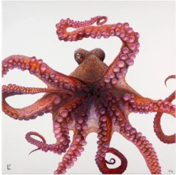 Lea Fricke – Big Octopus