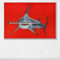 Lea Fricke – Hammerhead Shark