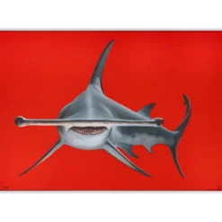 Lea Fricke – Hammerhead Shark