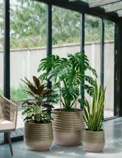 Leichte Übertöpfe im Keramikdesign, 3er-Set