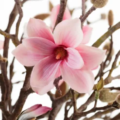 Magnolienstrauß
