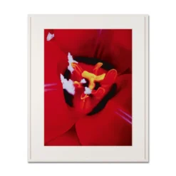 Marc Quinn – Close Up 1