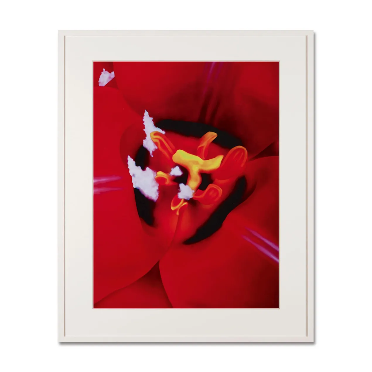Marc Quinn – Close Up 1