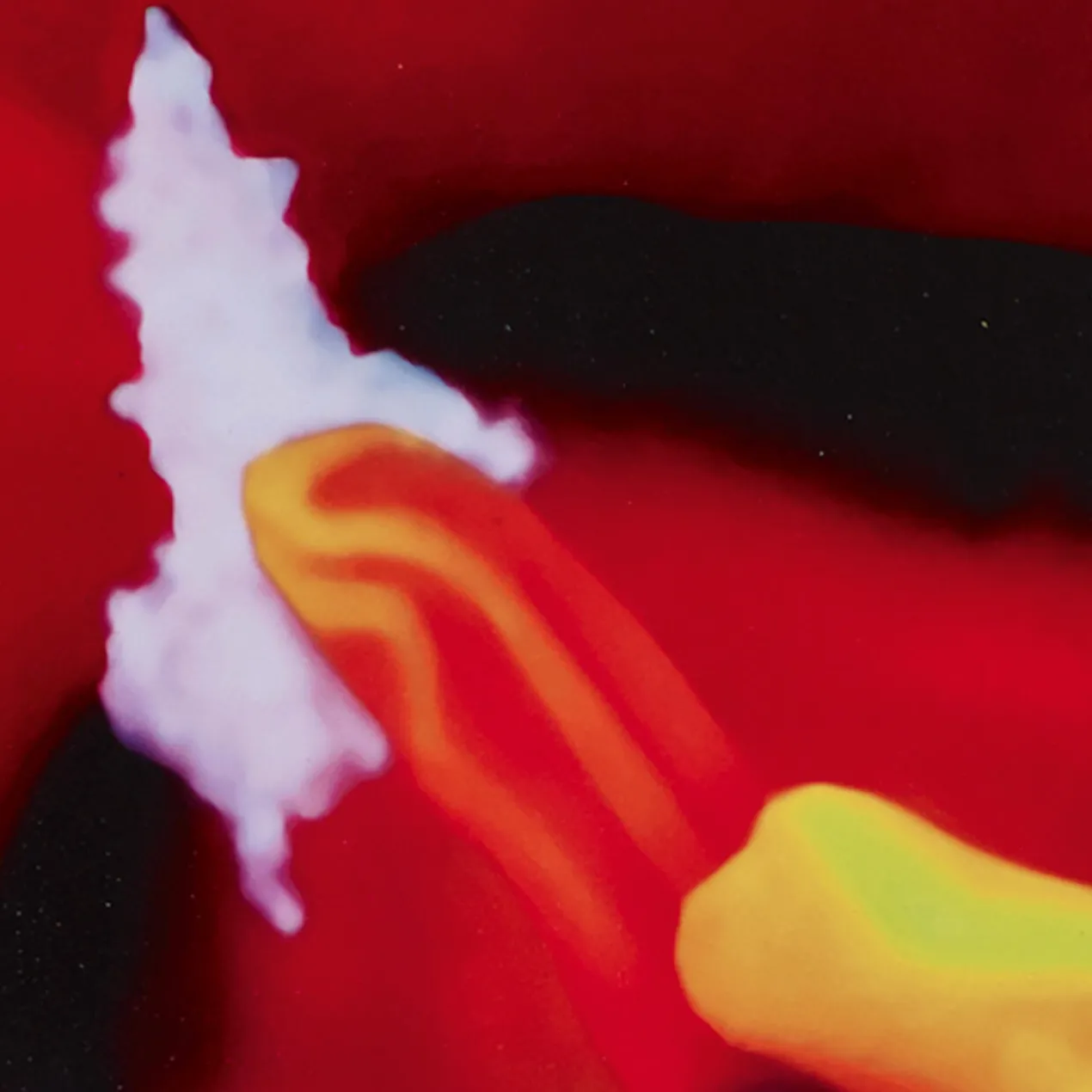 Marc Quinn – Close Up 1