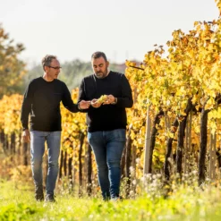 Masserì Primitivo 2022, Tenuta Ulisse, Terre di Chieti IGP, Italien