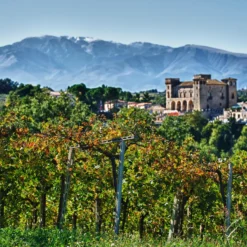 Masserì Primitivo 2022, Tenuta Ulisse, Terre di Chieti IGP, Italien
