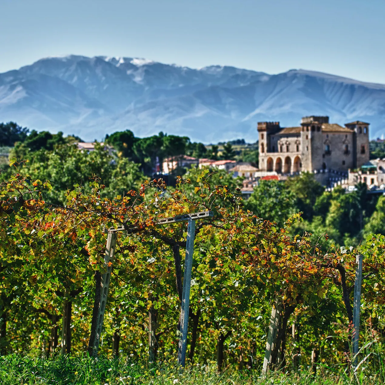 Masserì Primitivo 2022, Tenuta Ulisse, Terre di Chieti IGP, Italien