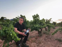 Menguante Rosado 2024, Pablo, Cariñena DOP, Spanien