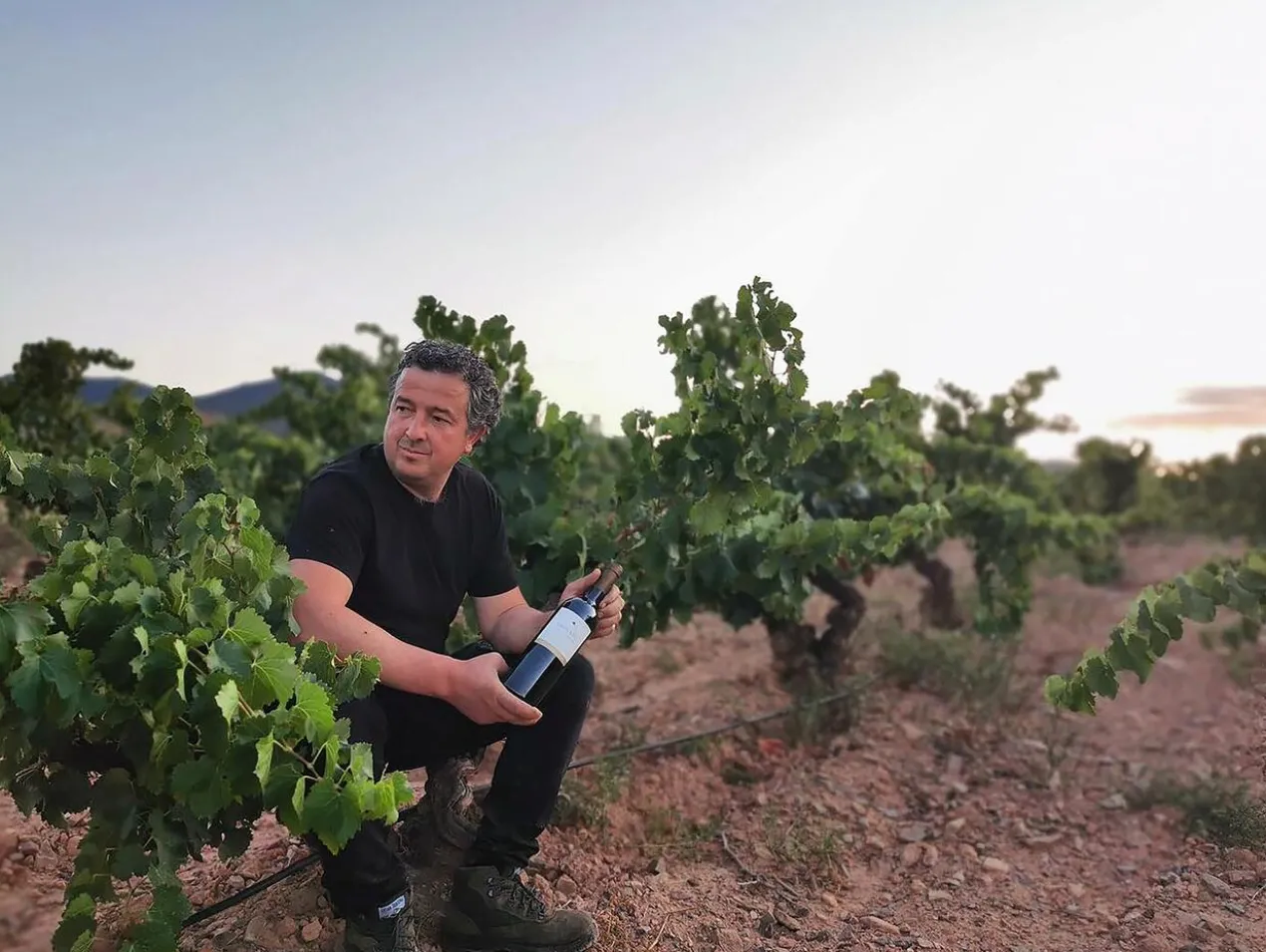 Menguante Rosado 2024, Pablo, Cariñena DOP, Spanien