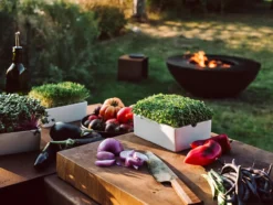 Microgreens Starter-Set, 4-teilig